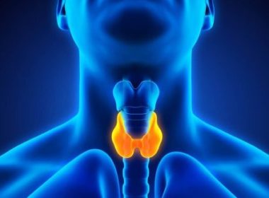 Tireóide – Doenças, Exames e Punção de Nódulos