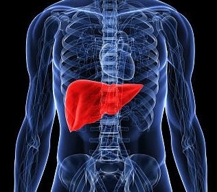 Ultrassonografia com Doppler do Fígado – Quando está indicado?