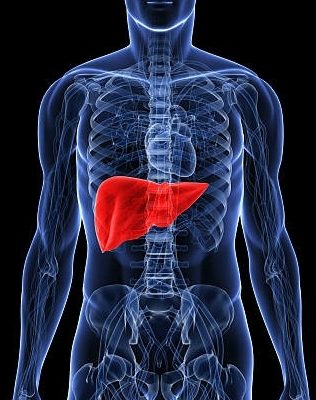 Ultrassonografia com Doppler do Fígado – Quando está indicado?